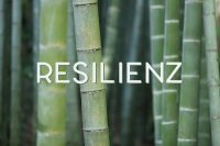 Resilienz